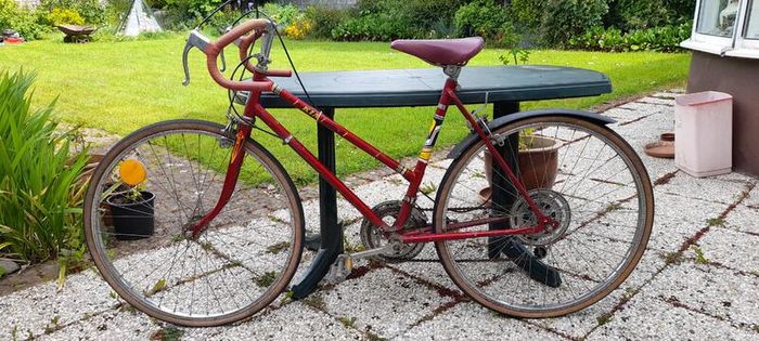 Ladies Bike