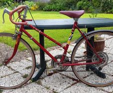 Ladies Bike