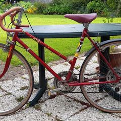 Ladies Bike
