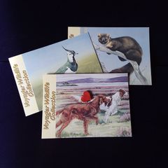 Ireland Postcards : Voyager Wildlife Collection 1993 - Part Set , ( 3 of 4 )