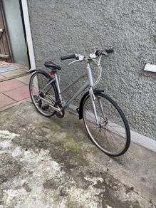 ladies bike