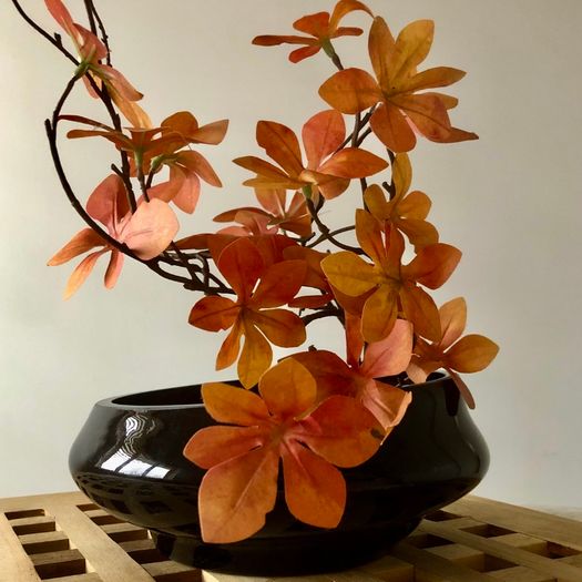 Gorgeous tinted glass asymmetrical decorative bowl