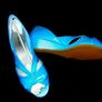 BNIB Harrods Viva La Diva Shoes Image 5