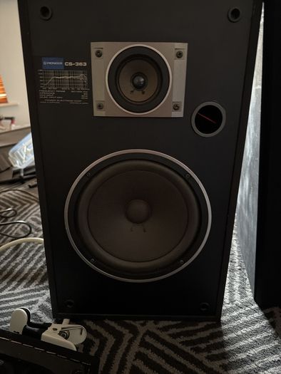 Pioneer cs 363