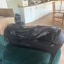 gocycle Image 2