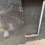Granite Countertop Image 10