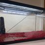 Fish Tank Image 3