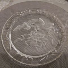 Etched Glass Plate