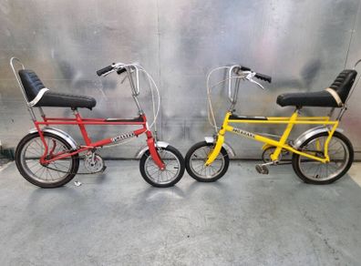 Raleigh Tomahawk