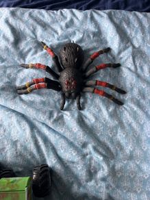 Robo alive spider