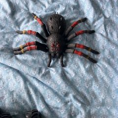 Robo alive spider