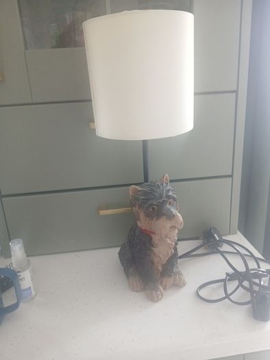 doggy lamp