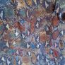 Women's snake print dress Image 6