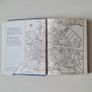 Dublin Decorative Plasterwork: Of the Seventeenth and Eighteenth Centuries hardback by C.P. Curran (1967 first edition) art architecture Irish interest history Image 5