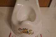 potty and toilet seat