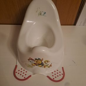 potty and toilet seat