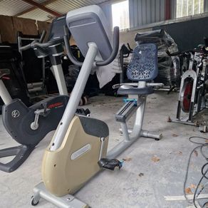 Precor recumbent bike