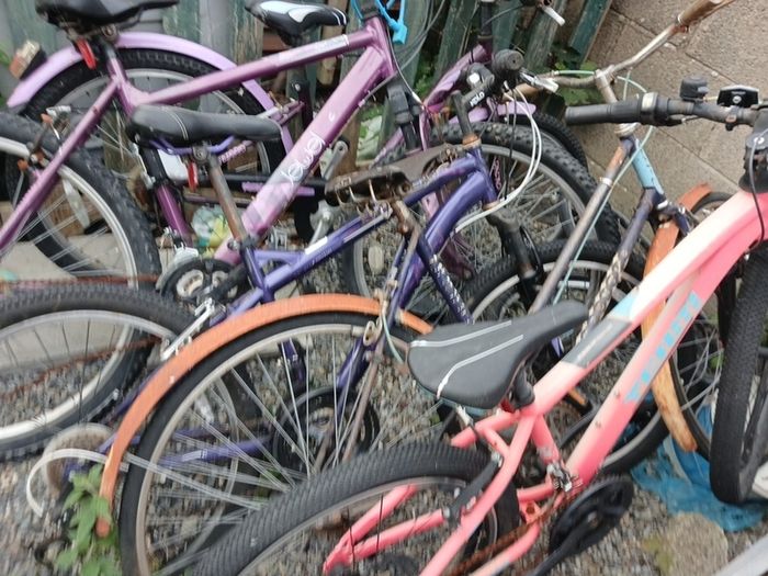 bikes