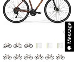 hybrid bike