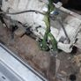 e36 m52b25 complete running gear Image 3