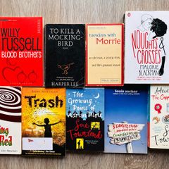 School Reading & YA Novel Book Bundle (9 Books) - Junior Cycle - Young Adult Fiction
