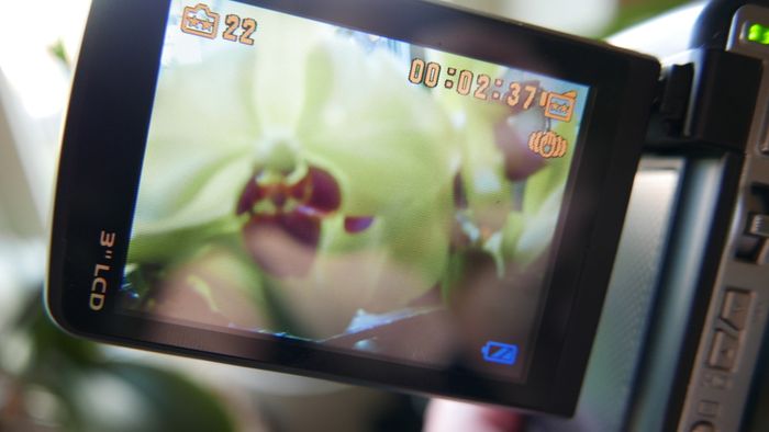 DigiLife DDV-1100HD Digital Video Camcorder