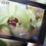 DigiLife DDV-1100HD Digital Video Camcorder Image 3
