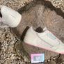 Chic Adidas Continental 80 Cream Pink Image 3