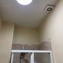 Mould Remover Image 8