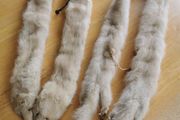 A Pair of Mink Fur Stoles in good condition