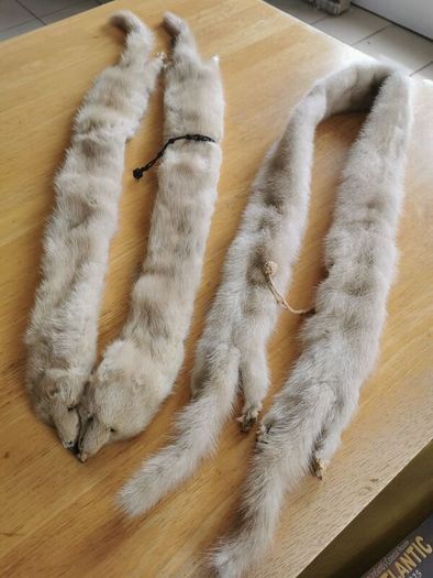A Pair of Mink Fur Stoles in good condition