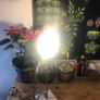 table lamp Image 3
