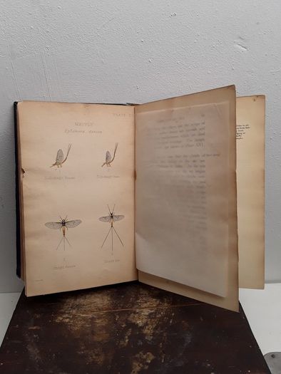 Vintage Fly fishing book
