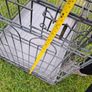 Pet crate Image 3