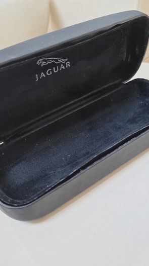 Glasses case