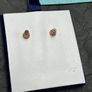 Rose Plated Earrings Image 3