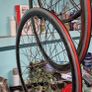 wheels  bikes Image 6