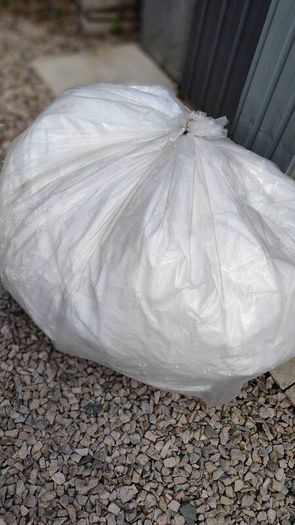 Beanbag