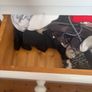 Solid pine wardrobe Image 5
