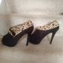 Designer Size 5  Reduced Image 5