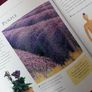 BOOK - Colour Healing Image 2