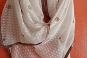 Xtra Large Chiffon Scarf/Wrap