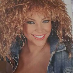 Tina Turner Style Wig