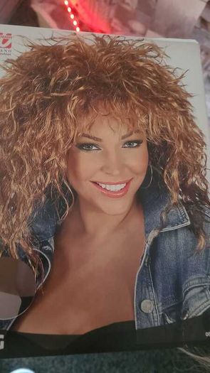 Tina Turner Style Wig