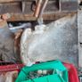 Vintage CIE Bus Eireann Leyland GM Detroit Diesel Air Intake Manifold Image 4