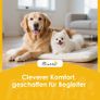 Freestanding Dog Gate with Support Feet, for Doorframes, Hallways, Stairs, 258 x 30 x 61 cm, White Image 4