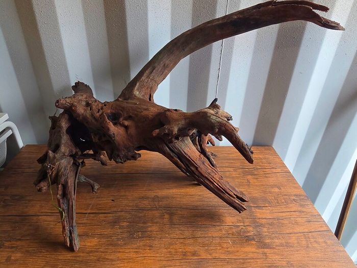 XXL Bogwood Used