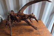 XXL Bogwood Used