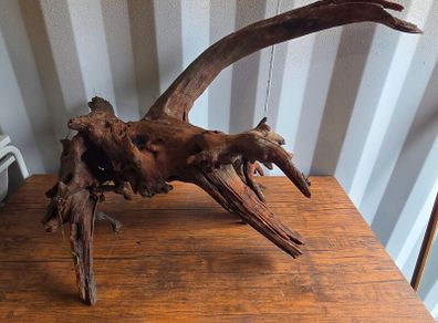 XXL Bogwood Used