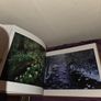 "Treasured Lands" A Photographic Odyssey through America's National Parks by QT Luong - Hardback Image 6
